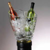 Acrylic Mini "Wine Chiller" Bottle Stopper in "Vino Duo"