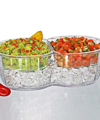 Duo Dips On Ice with Salsa and Guacamole